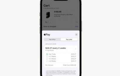 Apple 新設子公司，專門處理 Pay Later 放貸服務