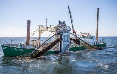 歐洲沿海開始進行海澡養殖試驗 凖備大規模商業化生產