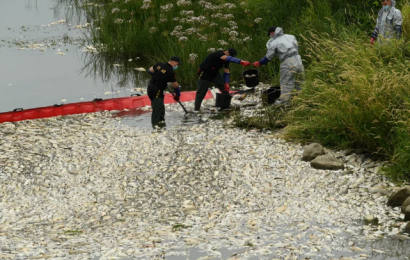 波蘭與德國之間河流有大量死魚 兩國官員指是生態災難